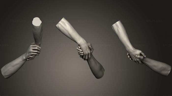 Анатомия скелеты и черепа (Мужские руки 17, ANTM_0833) 3D модель для ЧПУ станка